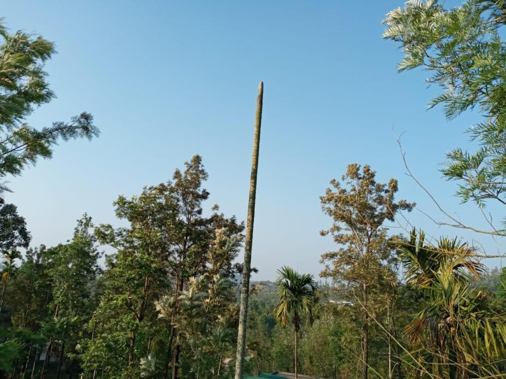 维特利Wayanad Snow Vibes别墅 外观 照片
