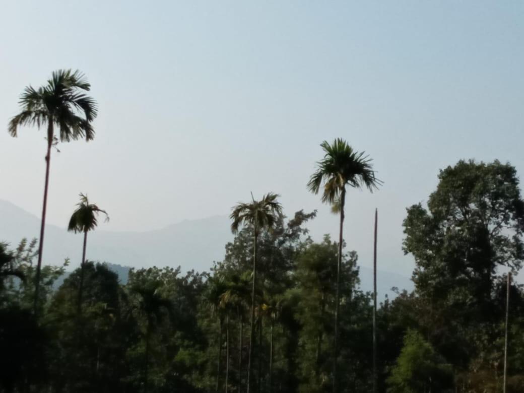 维特利Wayanad Snow Vibes别墅 外观 照片