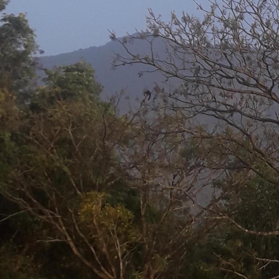 维特利Wayanad Snow Vibes别墅 外观 照片
